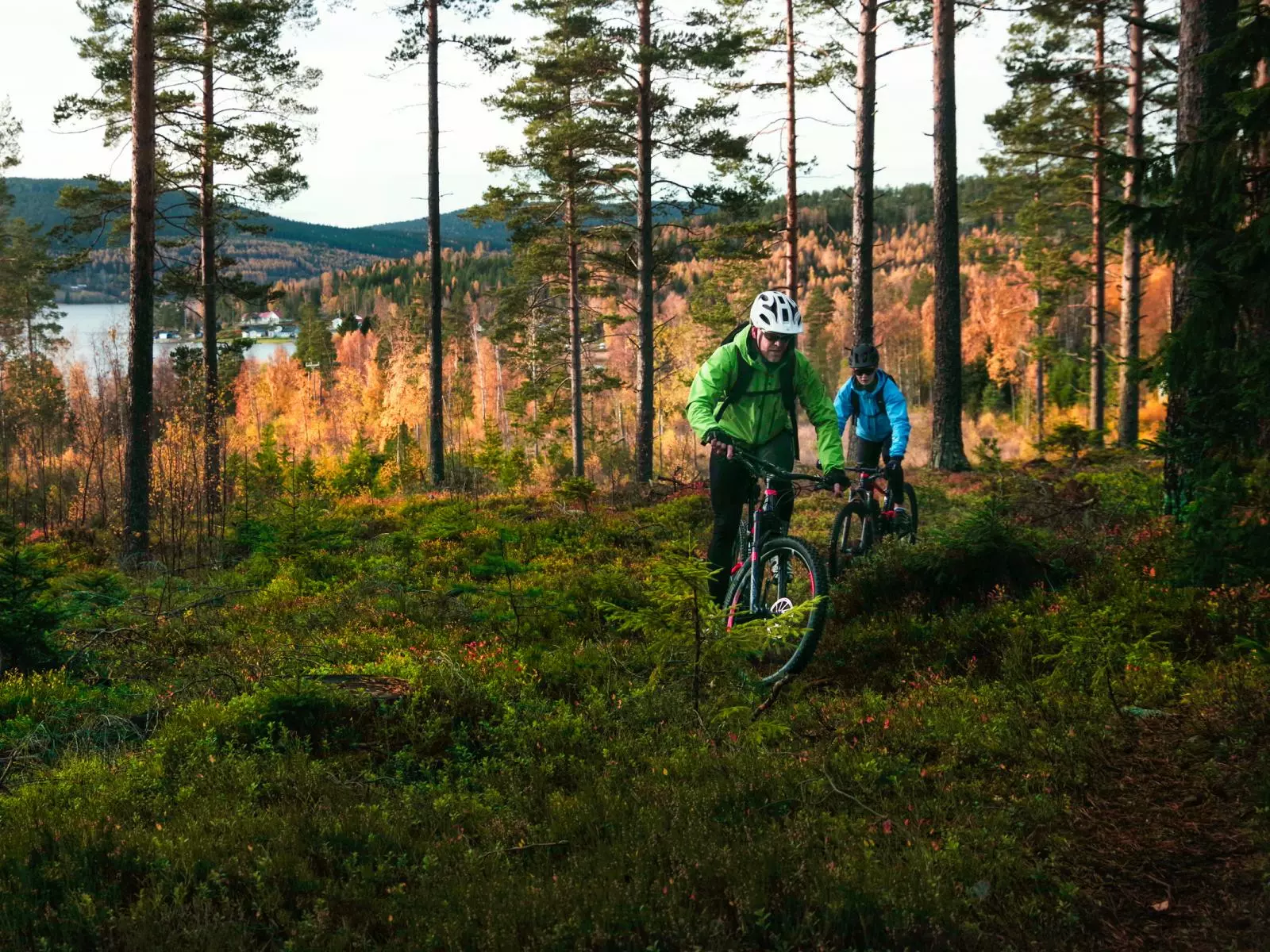 Cykeltøj Salg -Cykeltøj Salg 12